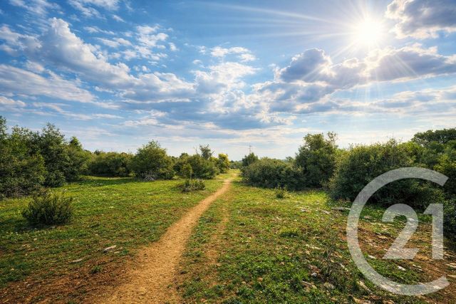 Terrain &agrave; vendre - 71410 m2 - Sauve - 30 - LANGUEDOC-ROUSSILLON