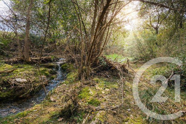 Terrain &agrave; vendre - 71410 m2 - Sauve - 30 - LANGUEDOC-ROUSSILLON
