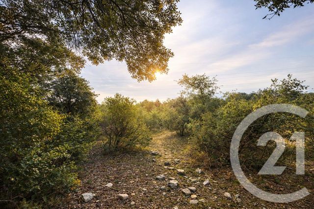 Terrain &agrave; vendre - 71410 m2 - Sauve - 30 - LANGUEDOC-ROUSSILLON