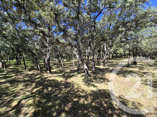 Terrain &agrave; vendre - 1000 m2 - Sommieres - 30 - LANGUEDOC-ROUSSILLON