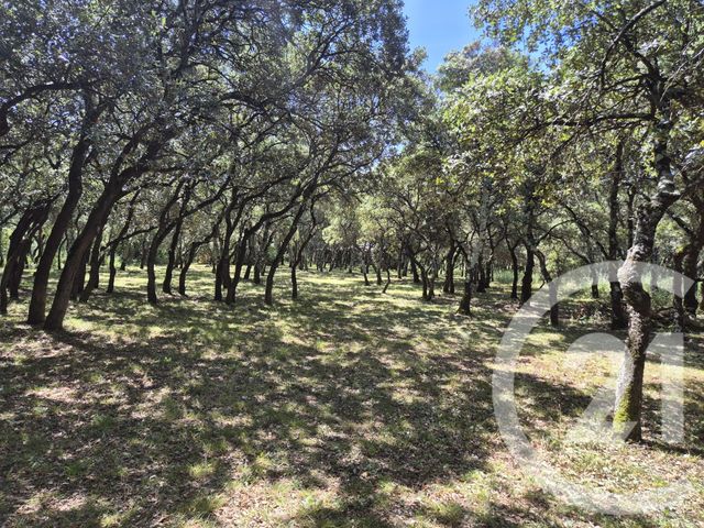 Terrain &agrave; vendre - 1000 m2 - Sommieres - 30 - LANGUEDOC-ROUSSILLON