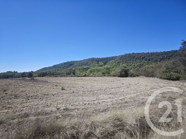 terrain - MONTMIRAT - 30