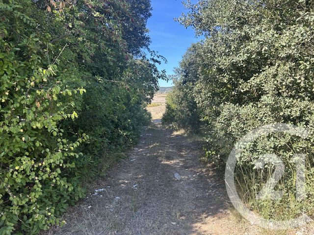 Terrain &agrave; vendre - 9555 m2 - Campagne - 34 - LANGUEDOC-ROUSSILLON