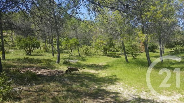 Maison à vendre - 7 pièces - 195 m2 - St Bauzille De Montmel - 34 - LANGUEDOC-ROUSSILLON