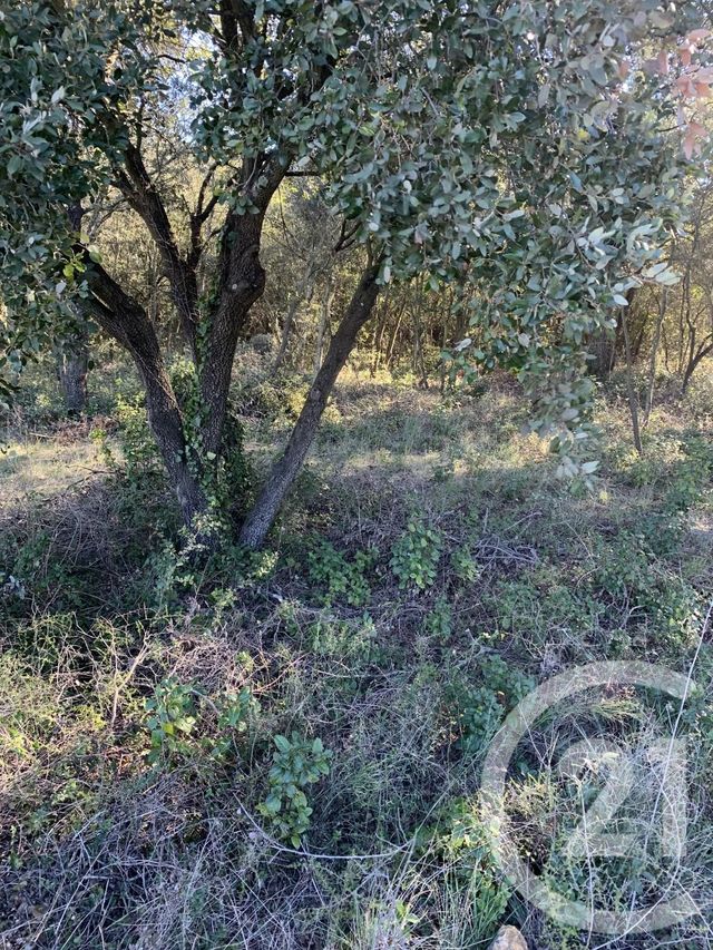 Terrain &agrave; vendre - 1430 m2 - Aujargues - 30 - LANGUEDOC-ROUSSILLON