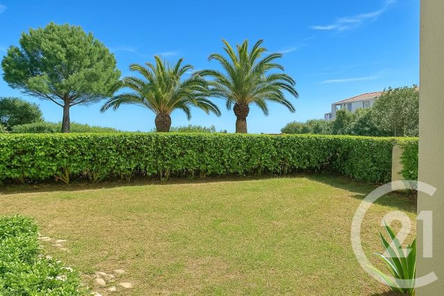 Appartement Studio à louer - 1 pièce - 18 m2 - St Cyprien - 66 - LANGUEDOC-ROUSSILLON