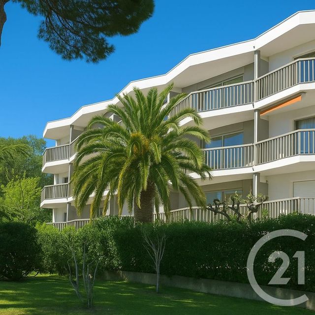 Appartement F2 &agrave; louer - 3 pi&egrave;ces - 37,15 m2 - Argeles Sur Mer - 66 - LANGUEDOC-ROUSSILLON
