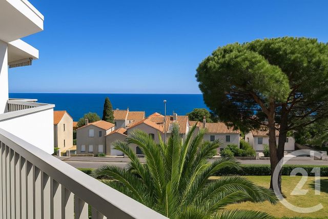 Appartement F2 &agrave; louer - 3 pi&egrave;ces - 37,15 m2 - Argeles Sur Mer - 66 - LANGUEDOC-ROUSSILLON