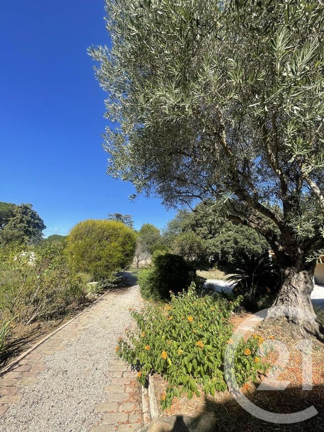 Maison à louer - 4 pièces - 140,02 m2 - Laroque Des Alberes - 66 - LANGUEDOC-ROUSSILLON