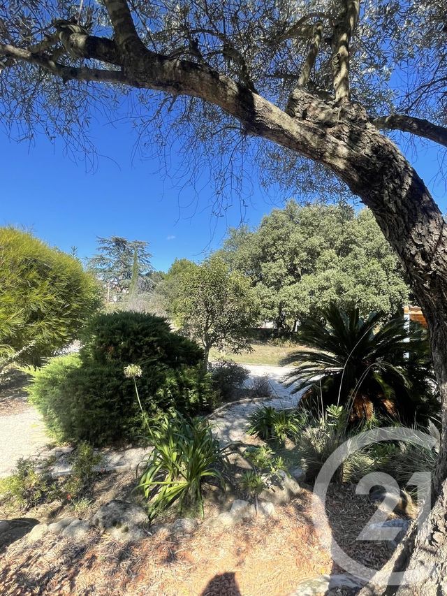 Maison à louer - 4 pièces - 140,02 m2 - Laroque Des Alberes - 66 - LANGUEDOC-ROUSSILLON