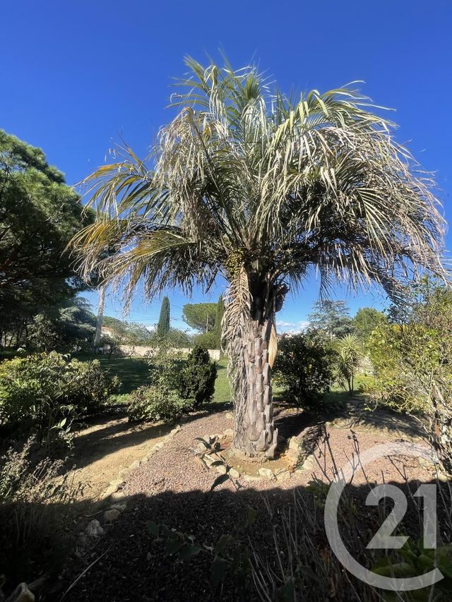 Maison à louer - 4 pièces - 140,02 m2 - Laroque Des Alberes - 66 - LANGUEDOC-ROUSSILLON