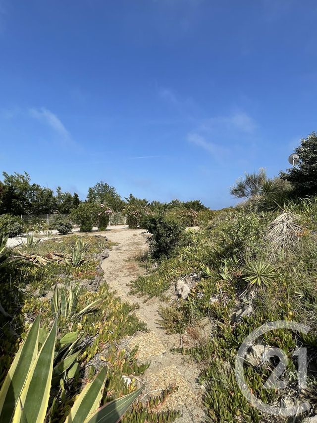 Maison à louer - 3 pièces - 50 m2 - Torreilles - 66 - LANGUEDOC-ROUSSILLON