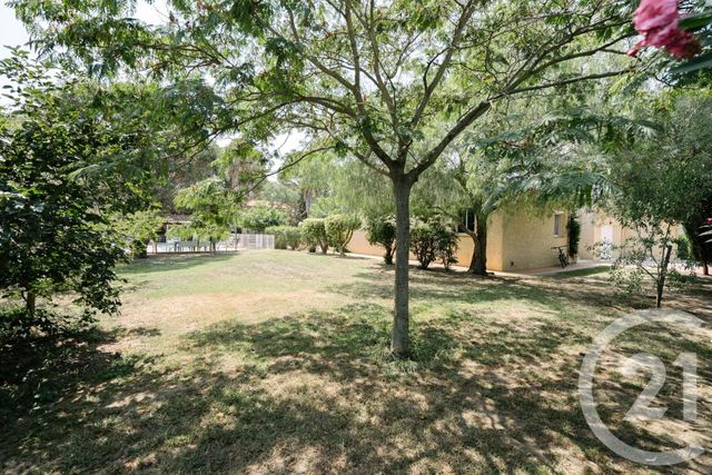 Maison à vendre - 5 pièces - 185 m2 - Argeles Sur Mer - 66 - LANGUEDOC-ROUSSILLON