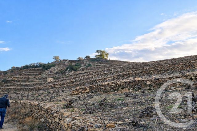 terrain - COLLIOURE - 66