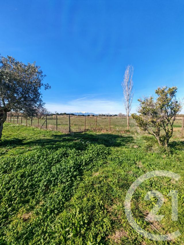 Maison &agrave; louer - 4 pi&egrave;ces - 96,70 m2 - St Cyprien - 66 - LANGUEDOC-ROUSSILLON