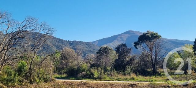 terrain - ST ANDRE - 66