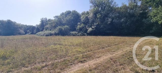 Terrain &agrave; vendre - 6305 m2 - Argeles Sur Mer - 66 - LANGUEDOC-ROUSSILLON