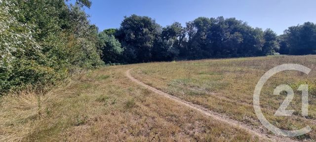 Terrain &agrave; vendre - 6305 m2 - Argeles Sur Mer - 66 - LANGUEDOC-ROUSSILLON