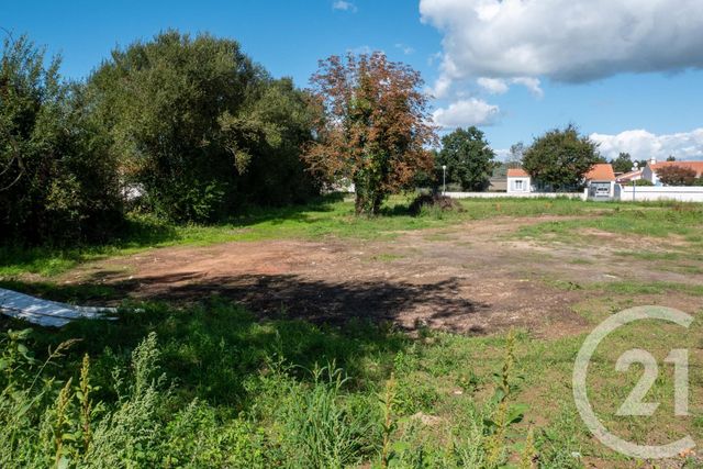 Terrain à vendre - 561 m2 - Bretignolles Sur Mer - 85 - PAYS-DE-LOIRE