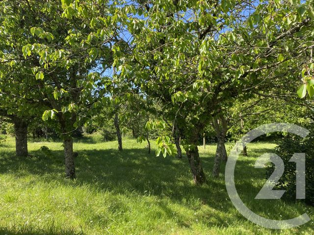 Maison à vendre - 12 pièces - 294 m2 - Bretignolles Sur Mer - 85 - PAYS-DE-LOIRE