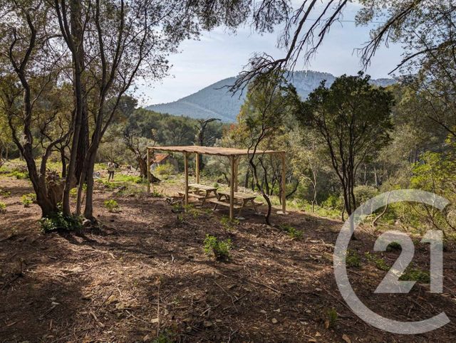 Terrain &agrave; vendre - 5258 m2 - La Valette Du Var - 83 - PROVENCE-ALPES-COTE-D-AZUR