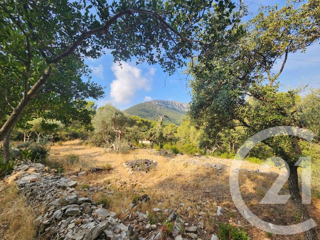 Terrain &agrave; vendre - 5258 m2 - La Valette Du Var - 83 - PROVENCE-ALPES-COTE-D-AZUR