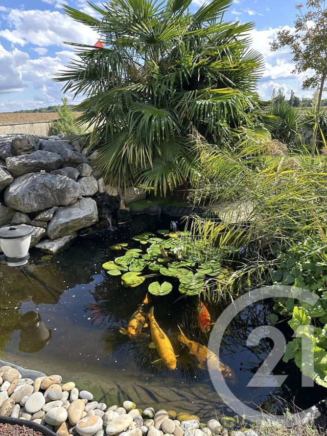 Maison &agrave; vendre - 7 pi&egrave;ces - 160,40 m2 - Bligny Les Beaune - 21 - BOURGOGNE