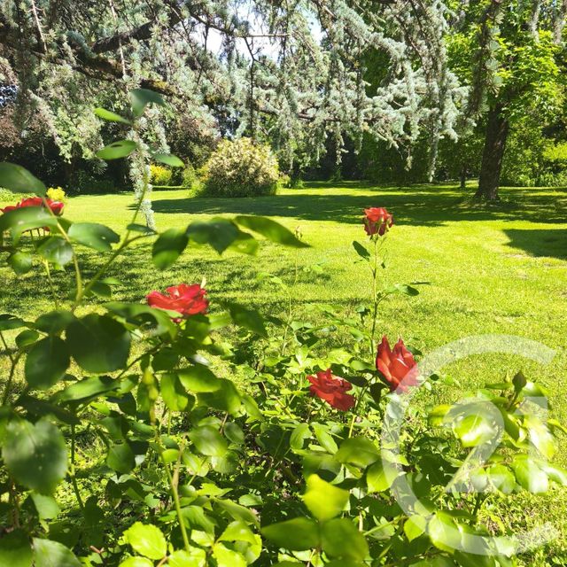 Maison &agrave; vendre - 8 pi&egrave;ces - 200 m2 - Montagny Les Beaune - 21 - BOURGOGNE