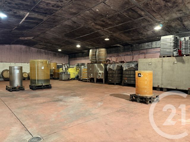 Maison &agrave; vendre - 8 pi&egrave;ces - 543,94 m2 - Morey St Denis - 21 - BOURGOGNE