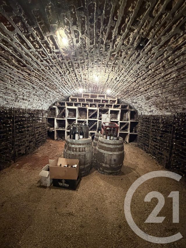 Maison &agrave; vendre - 8 pi&egrave;ces - 543,94 m2 - Morey St Denis - 21 - BOURGOGNE