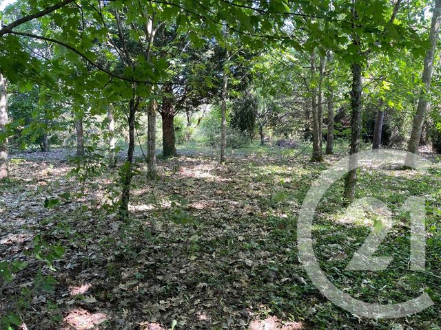 Maison &agrave; vendre - 6 pi&egrave;ces - 160 m2 - Corpeau - 21 - BOURGOGNE