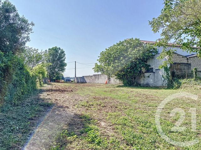 Terrain &agrave; vendre - 1000 m2 - Tresques - 30 - LANGUEDOC-ROUSSILLON