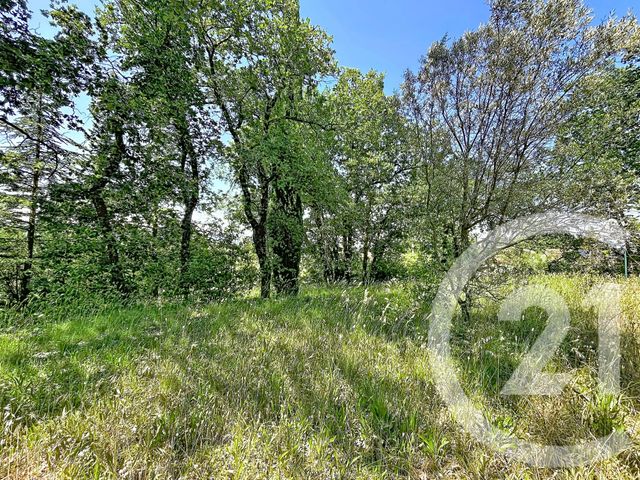 Maison &agrave; vendre - 6 pi&egrave;ces - 133,63 m2 - St Paulet De Caisson - 30 - LANGUEDOC-ROUSSILLON