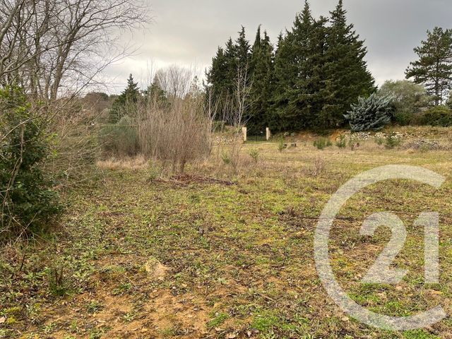 terrain - SALAZAC - 30