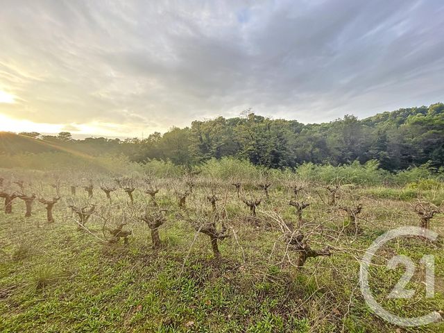 Terrain &agrave; vendre - 19970 m2 - St Nazaire - 30 - LANGUEDOC-ROUSSILLON