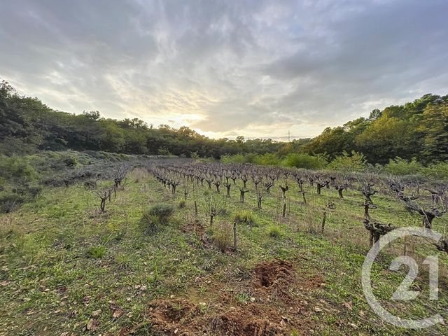 Terrain &agrave; vendre - 19970 m2 - St Nazaire - 30 - LANGUEDOC-ROUSSILLON