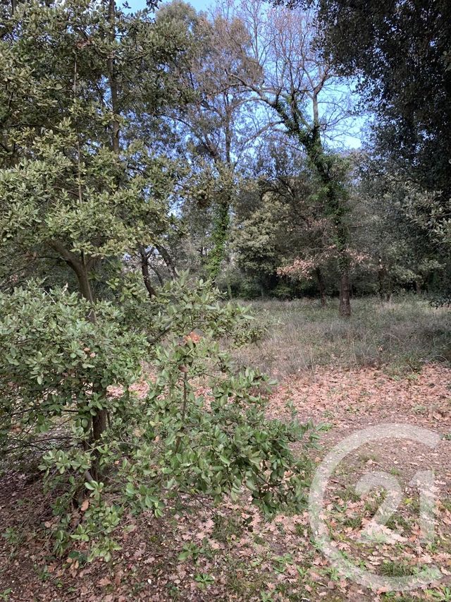 Maison &agrave; louer - 2 pi&egrave;ces - 29 m2 - Gaujac - 30 - LANGUEDOC-ROUSSILLON