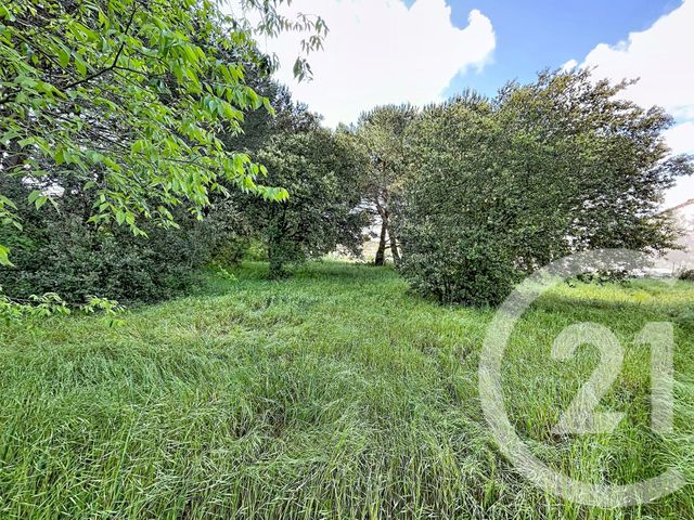 Terrain &agrave; vendre - 2770 m2 - Bagnols Sur Ceze - 30 - LANGUEDOC-ROUSSILLON