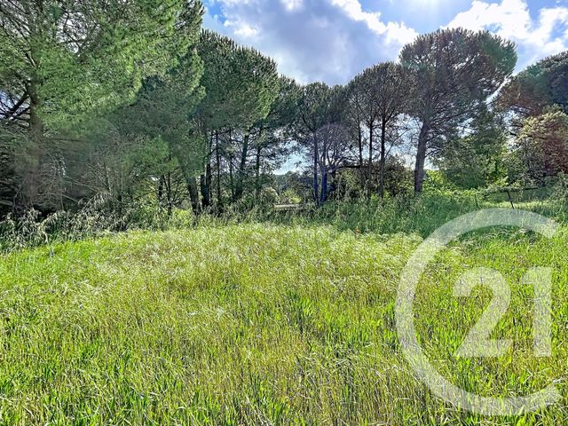 Terrain &agrave; vendre - 2770 m2 - Bagnols Sur Ceze - 30 - LANGUEDOC-ROUSSILLON