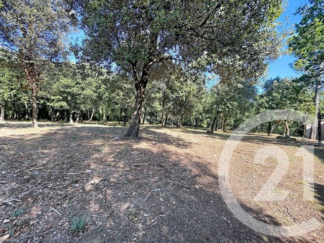 Maison &agrave; vendre - 2 pi&egrave;ces - 29,26 m2 - Gaujac - 30 - LANGUEDOC-ROUSSILLON