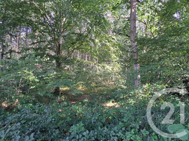 Terrain &agrave; vendre - 5200000 m2 - Orbec - 14 - BASSE-NORMANDIE