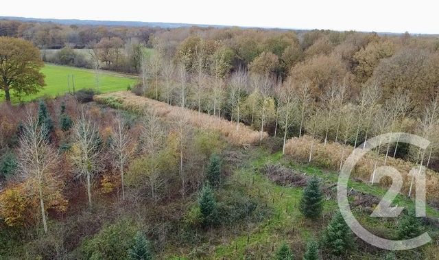 Maison &agrave; vendre - 5 pi&egrave;ces - 170 m2 - Orbec - 14 - BASSE-NORMANDIE