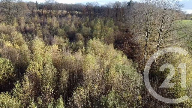 Terrain &agrave; vendre - 100000 m2 - Orbec - 14 - BASSE-NORMANDIE