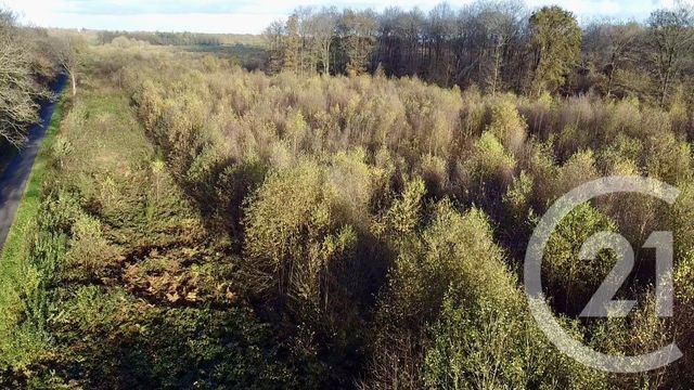 Terrain &agrave; vendre - 100000 m2 - Orbec - 14 - BASSE-NORMANDIE