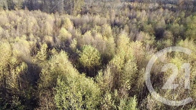 Terrain &agrave; vendre - 100000 m2 - Orbec - 14 - BASSE-NORMANDIE