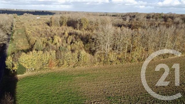 terrain - ORBEC - 14