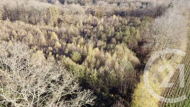 Terrain &agrave; vendre - 100000 m2 - Orbec - 14 - BASSE-NORMANDIE