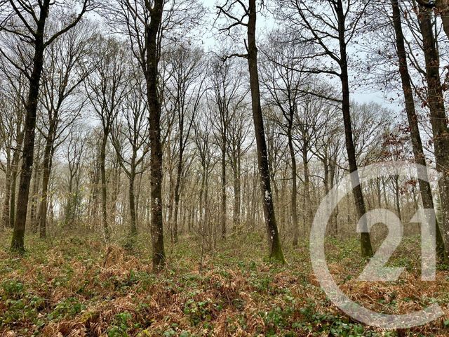 Terrain &agrave; vendre - 420000 m2 - Orbec - 14 - BASSE-NORMANDIE