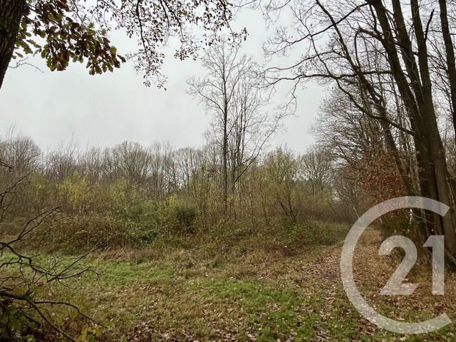 Terrain &agrave; vendre - 420000 m2 - Orbec - 14 - BASSE-NORMANDIE