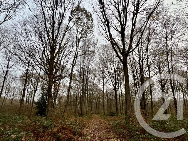 Terrain &agrave; vendre - 420000 m2 - Orbec - 14 - BASSE-NORMANDIE